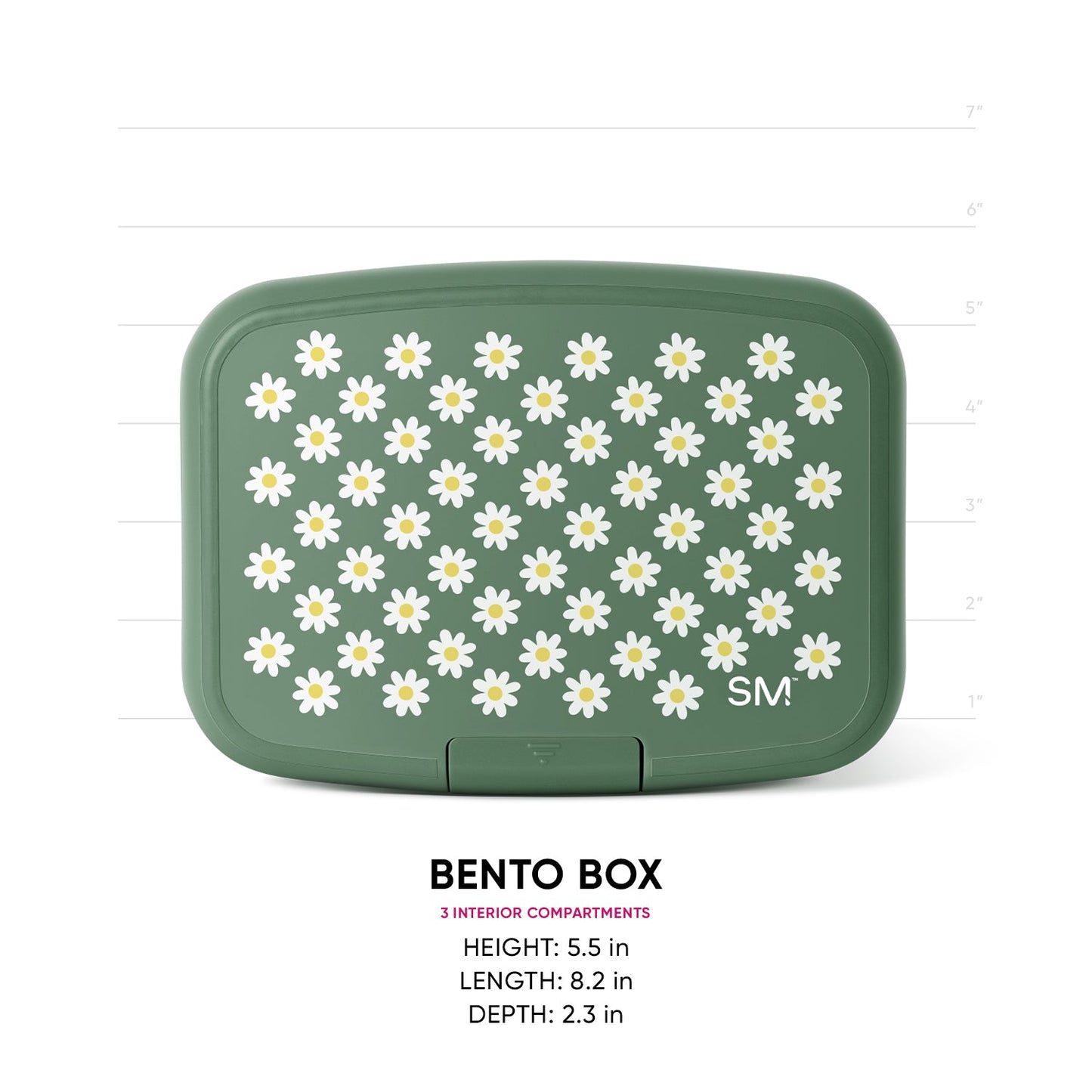 Sage green bento box with white daisy pattern, front view with measurement scale. Three interior compartments. 5.5"H x 8.2"L x 2.3"D.