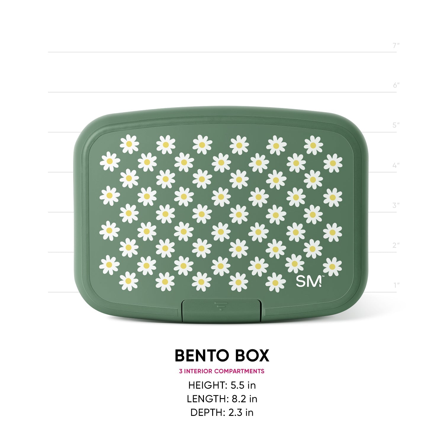 Sage green bento box with white daisy pattern, front view with measurement scale. Three interior compartments. 5.5"H x 8.2"L x 2.3"D.